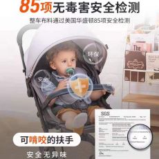 送宝贝BabyTrend婴儿车，让她安全舒适