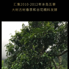 冰岛古树云南普洱茶饼，送礼就送佳品