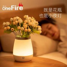 创意小夜灯，还能养花的艺术 品哦