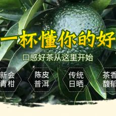 云南小青柑普洱茶礼盒